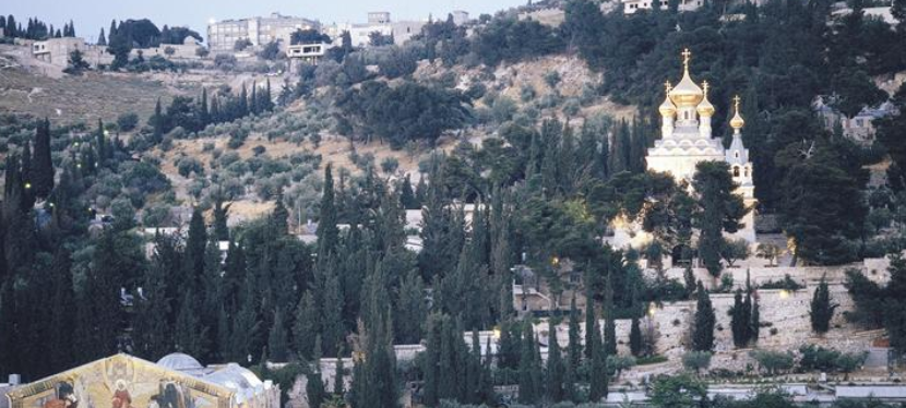 Israel Group Tours Israel Group Tours